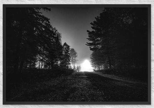 Toward the light (b/w)