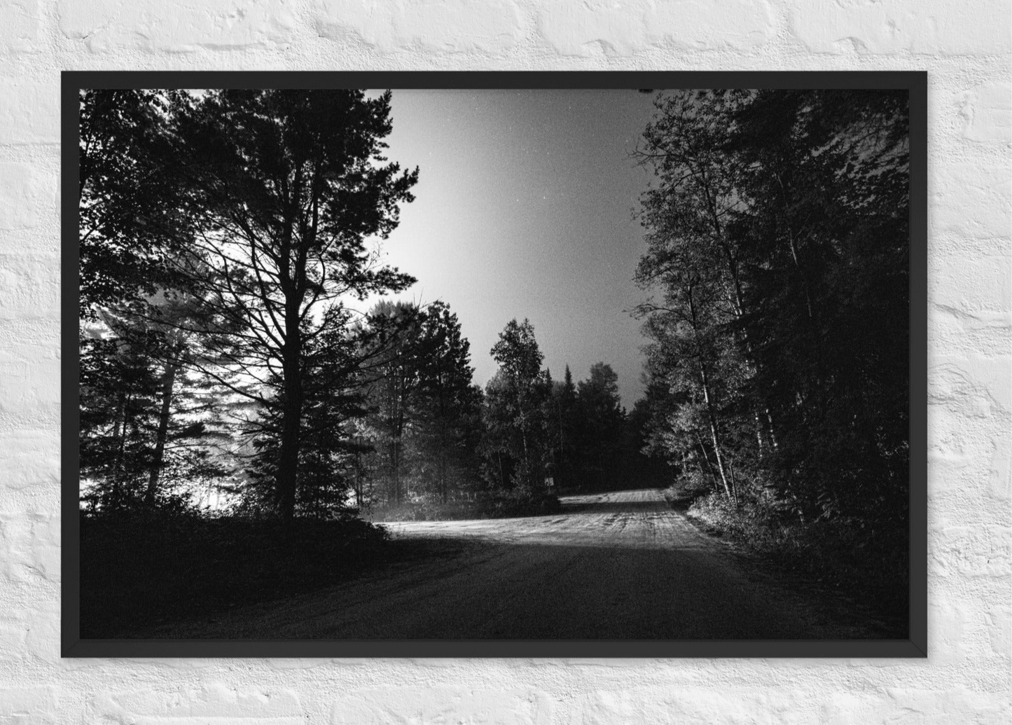 A night walk in the forest (B&W)