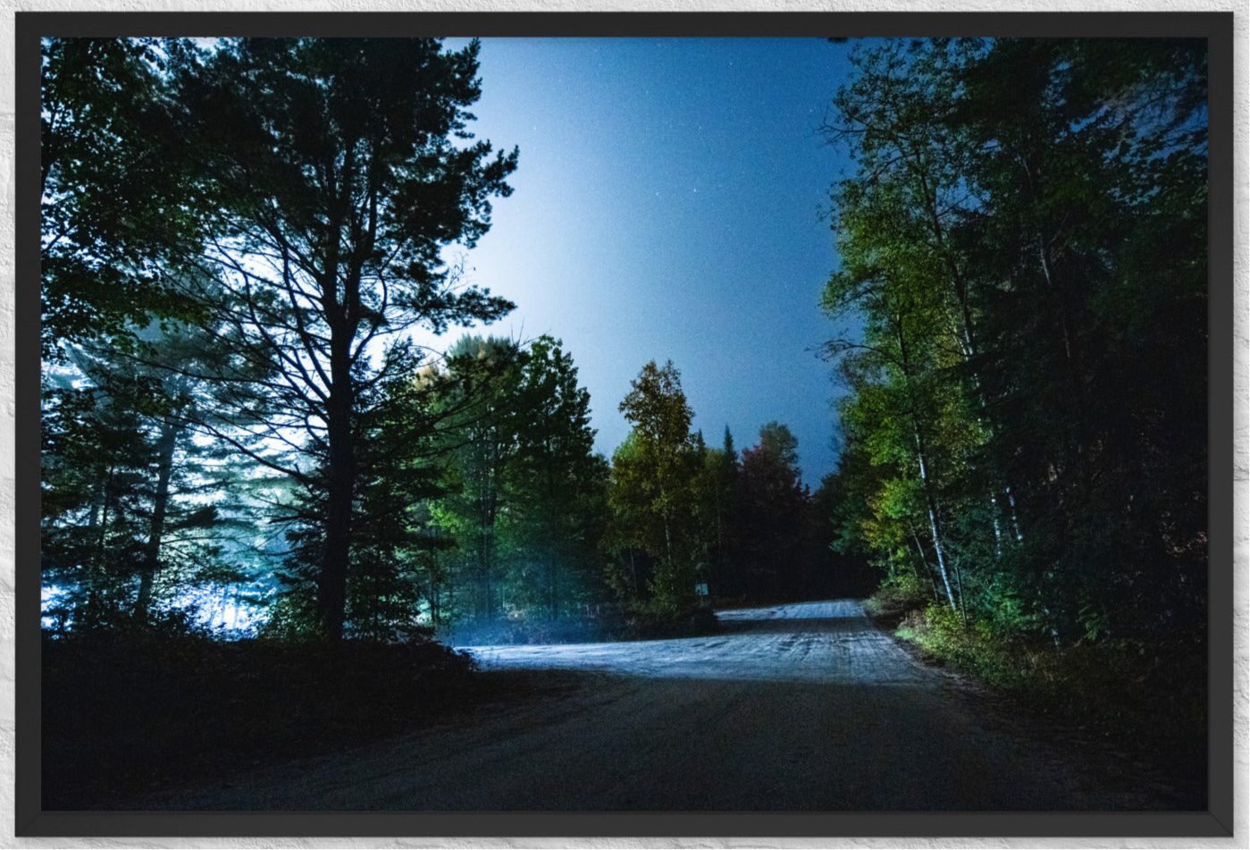 A night walk in the forest
