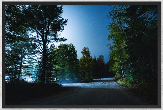A night walk in the forest