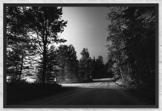 A night walk in the forest (B&W)